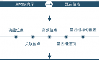 兰大科研团队研发出绵羊基因组育种芯片并产业化应用