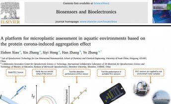 简化水中微塑料检测流程，南华大学团队研发出这个光电化学传感器