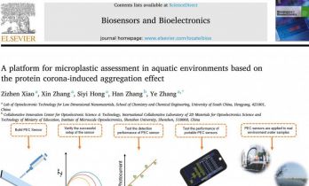 简化水中微塑料检测流程，南华大学团队研发出这个光电化学传感器