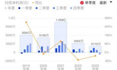 利扬芯片2023年增收不增利 算力、存储等测试收入大幅增长 多项新工艺量产在即