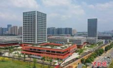 长沙芙蓉区壮大现代种业 做强种子“芯片”