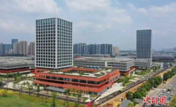 长沙芙蓉区壮大现代种业 做强种子“芯片”