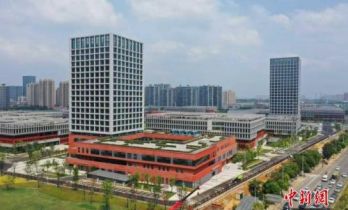 长沙芙蓉区壮大现代种业 做强种子“芯片”