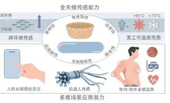 受竹篮启发，科学家研发耐受极端环境的水凝胶传感器—新闻—科学网