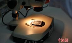 基于“庄子2.0”芯片实验 中国团队离理解和控制量子世界更近一步