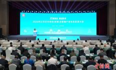 行业精英齐聚四川内江 聚力打造泛半导体及数据产业生态高地