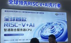 蓝芯算力：RISC-V服务器的换道实验