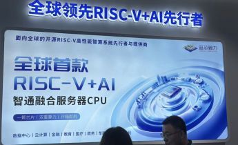 蓝芯算力：RISC-V服务器的换道实验