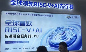 蓝芯算力：RISC-V服务器的换道实验